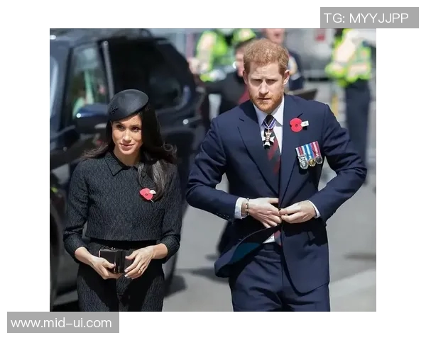 足球明星中是否有梅根这位传奇球员的身影与成就分析