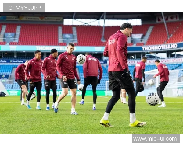 瑞士与德国足球比赛主场地点分析及历史交锋回顾